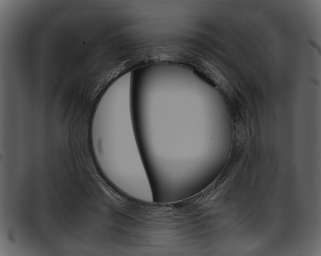 X0000097600401200802290737