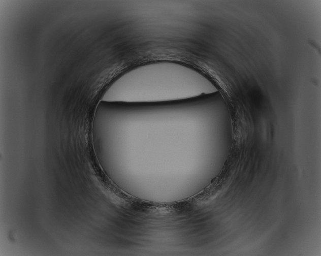 X0000097600402200802290737