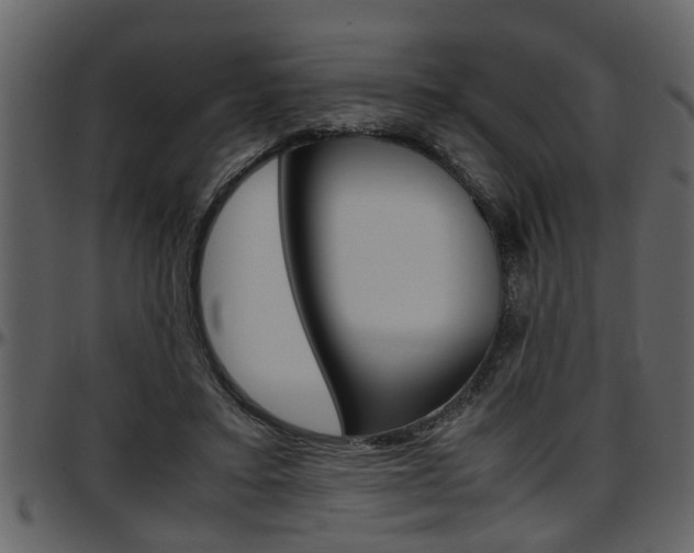X0000097600403200802290737