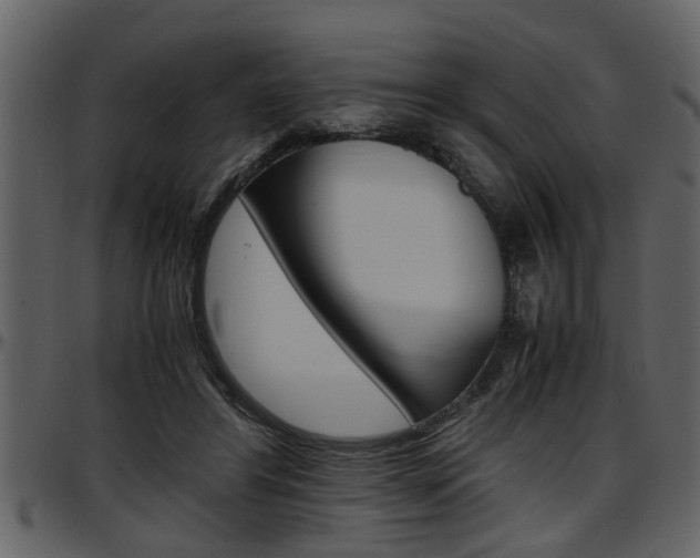 X0000097600404200802290737