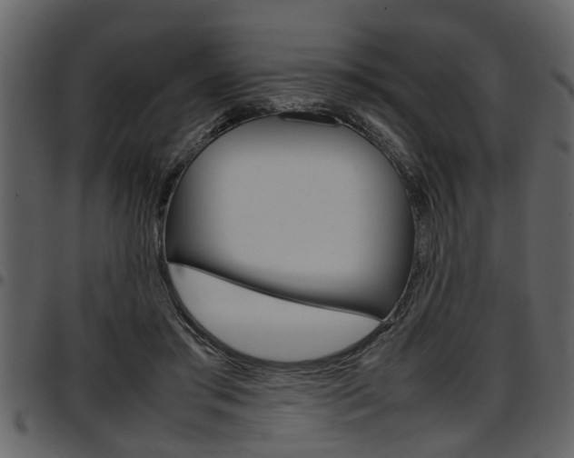 X0000097600405200802290737
