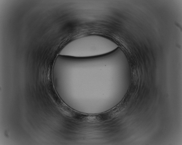 X0000097600406200802290737