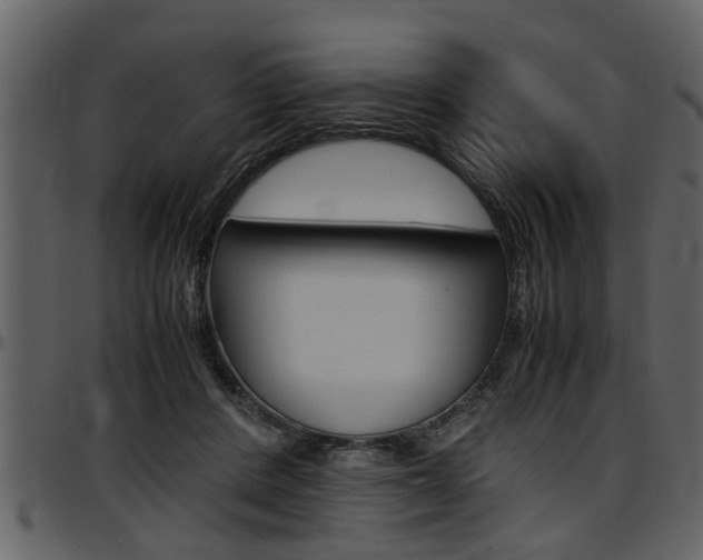 X0000097600408200802290737
