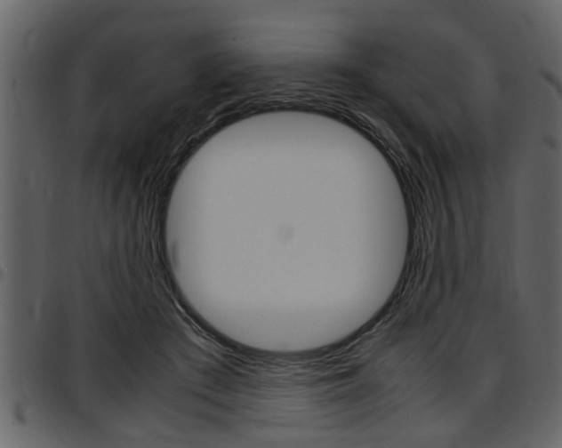 X0000097600409200802290737