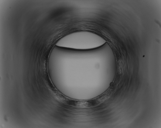 X0000097600410200802290737