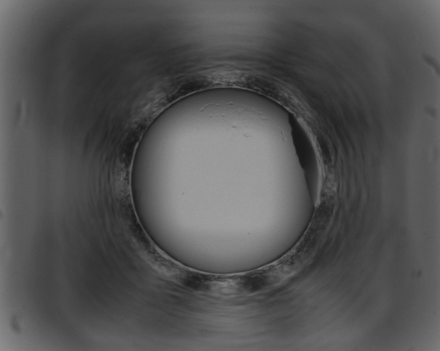 X0000097600411200802290737