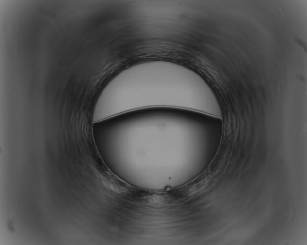 X0000097600412200802290737