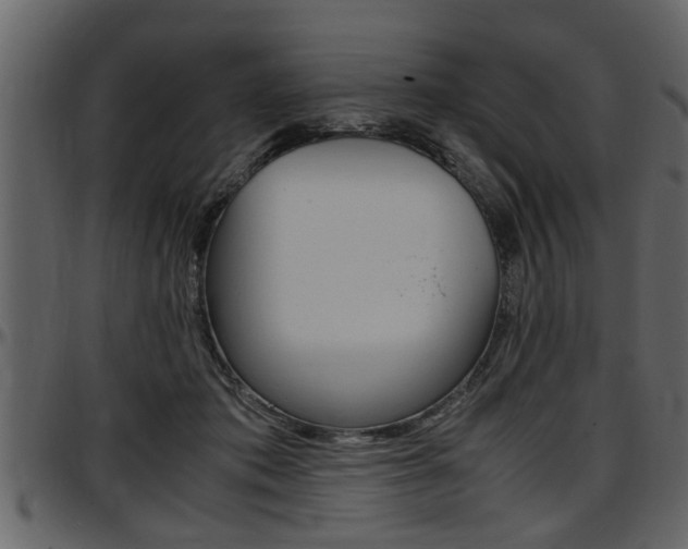 X0000097600413200802290737
