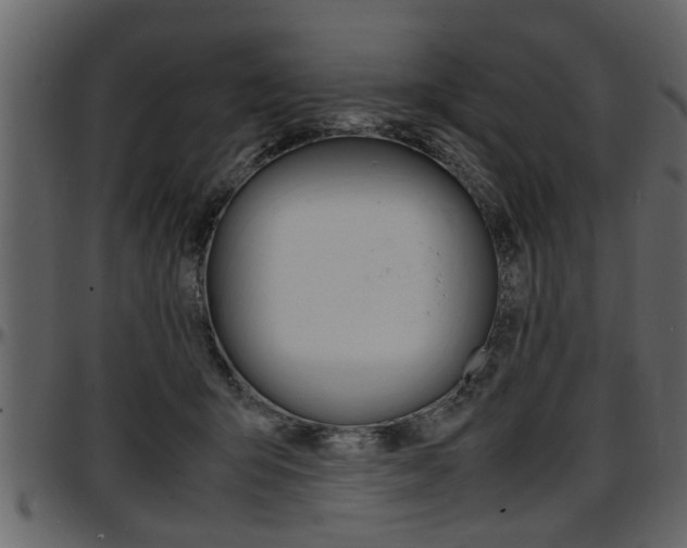 X0000097600415200802290737