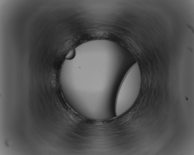 X0000097600416200802290737