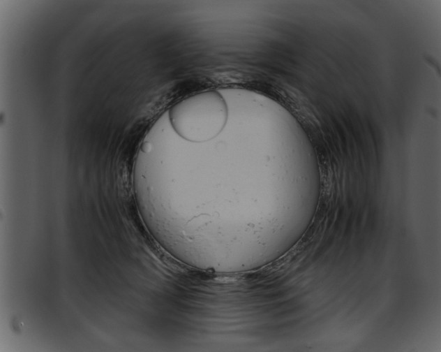 X0000097600418200802290736