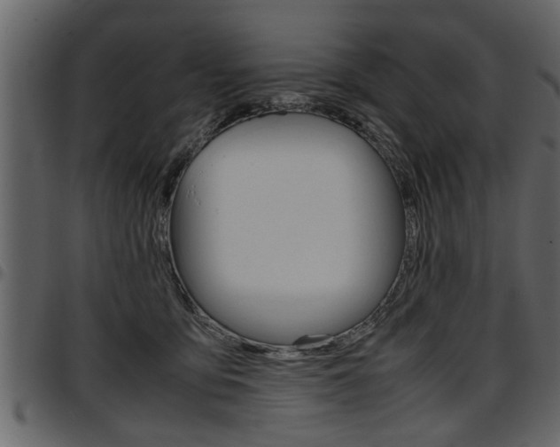 X0000097600419200802290736