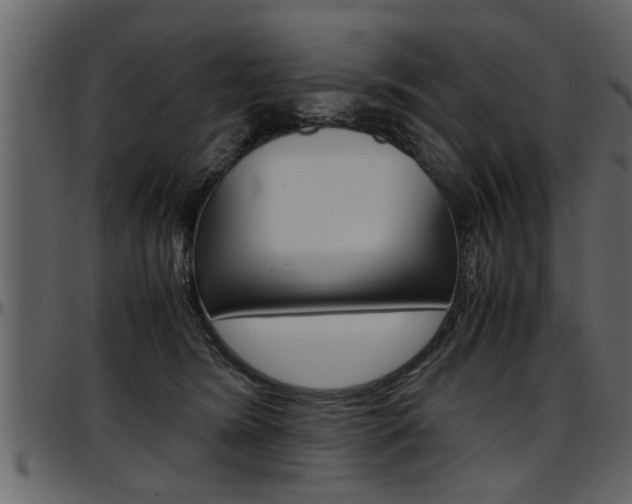 X0000097600420200802290736