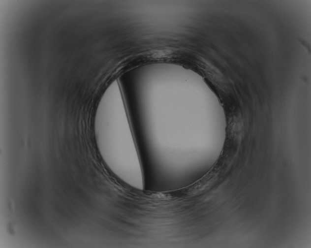 X0000097600421200802290736