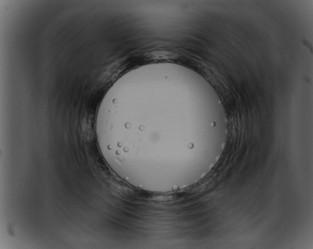X0000097600422200802290736