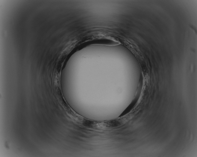 X0000097600423200802290736