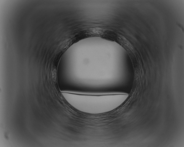 X0000097600425200802290736