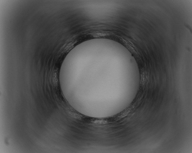 X0000097600426200802290736
