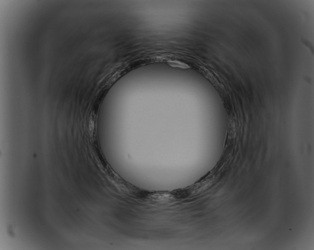 X0000097600427200802290736
