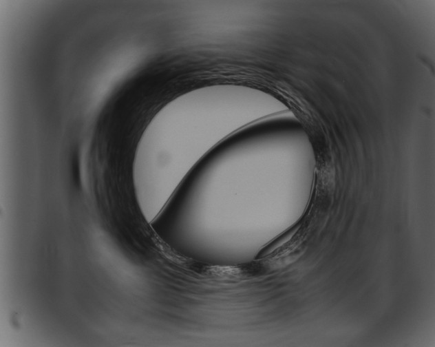 X0000097600429200802290736