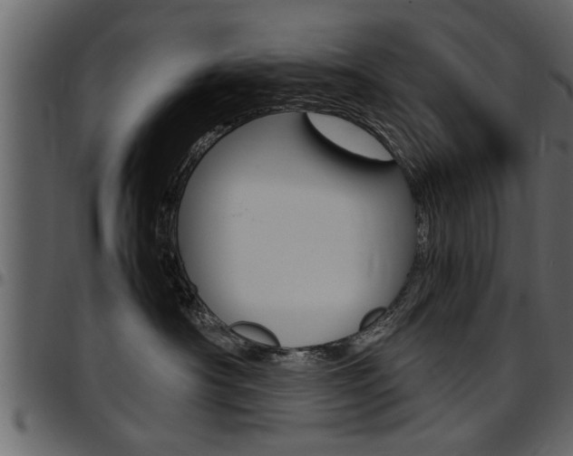X0000097600430200802290736
