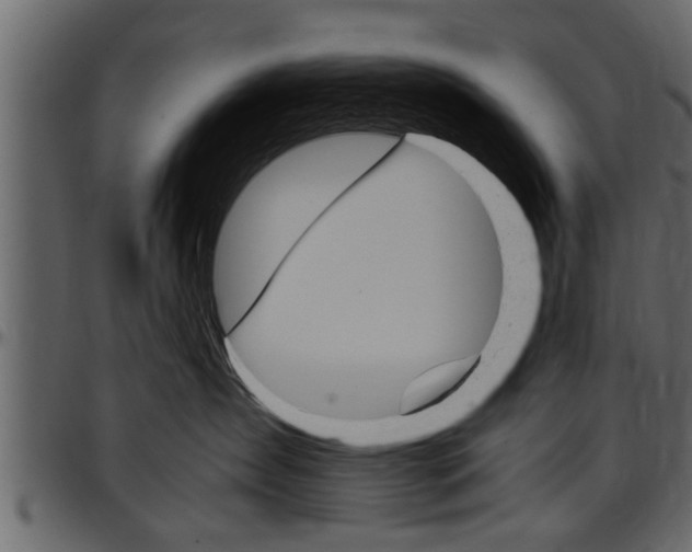 X0000097600431200802290736