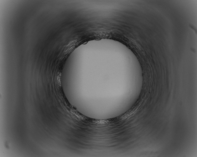 X0000097600432200802290736