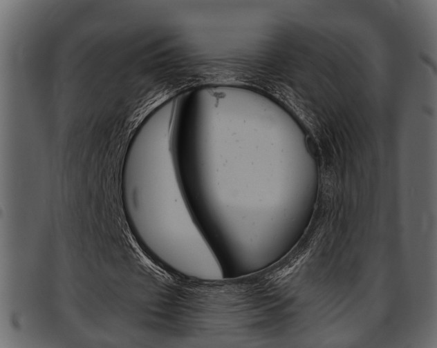 X0000097600433200802290735