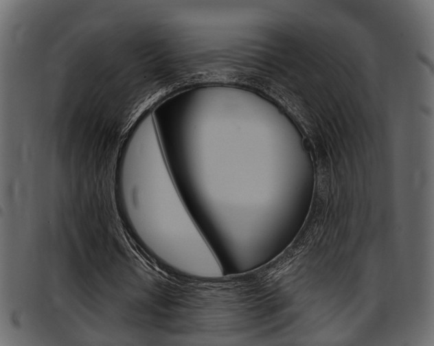 X0000097600434200802290735