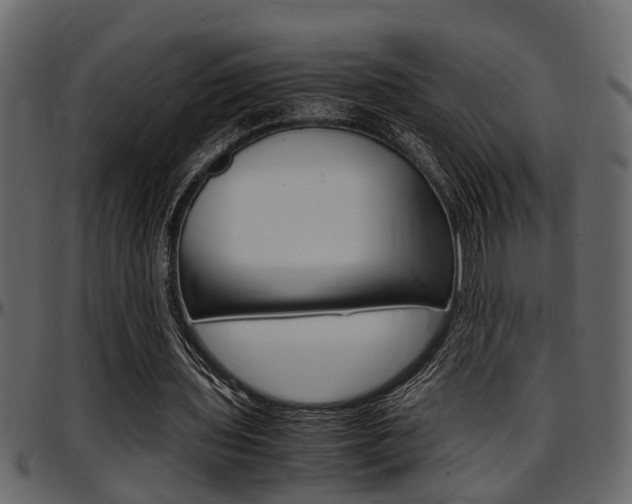 X0000097600435200802290735