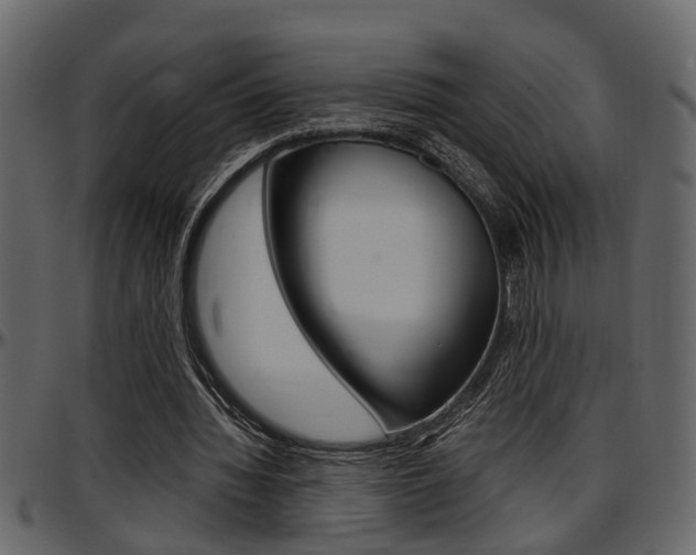 X0000097600436200802290735