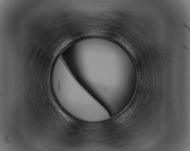 X0000097600437200802290735