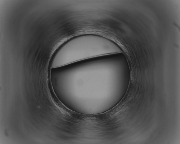 X0000097600438200802290736