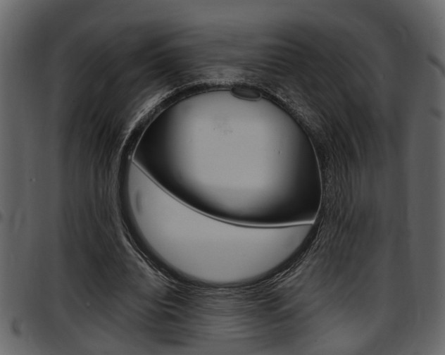 X0000097600440200802290736
