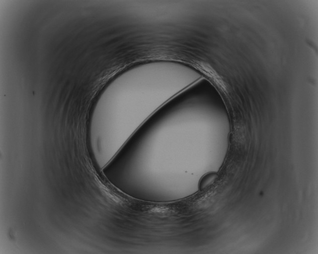 X0000097600441200802290736