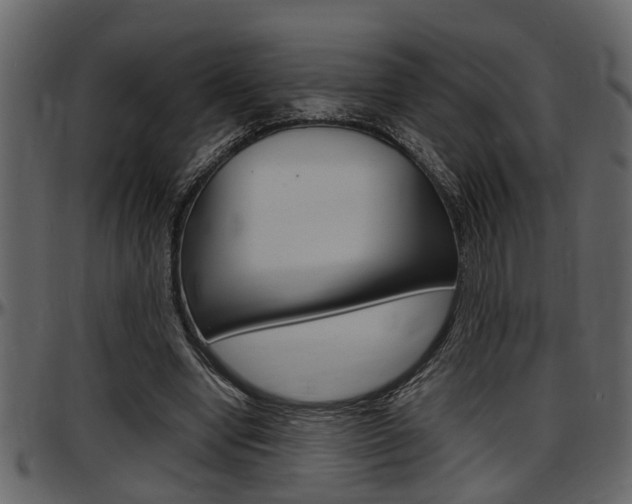 X0000097600442200802290736