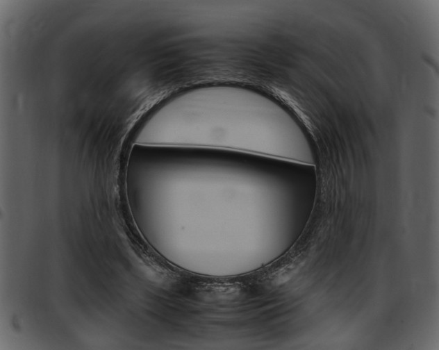 X0000097600443200802290736
