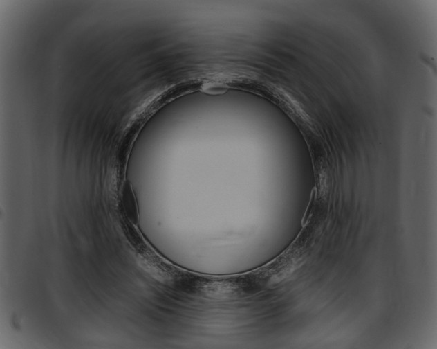 X0000097600444200802290736