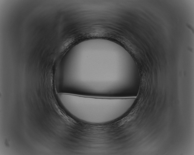 X0000097600446200802290736