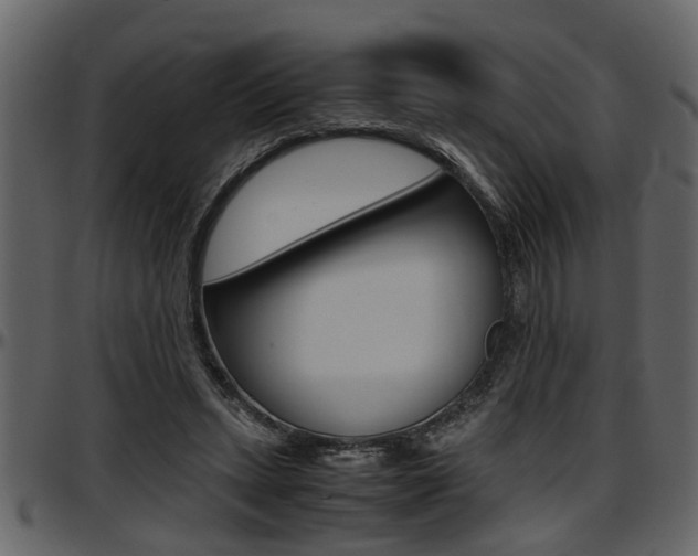 X0000097600447200802290736