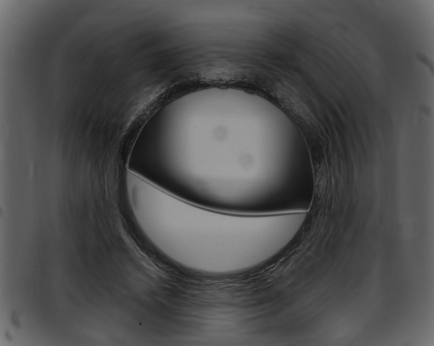 X0000097600448200802290736