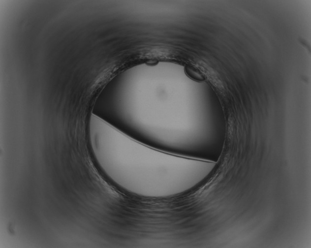 X0000097600449200802290736