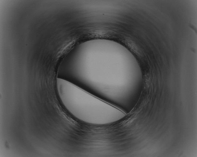 X0000097600450200802290736