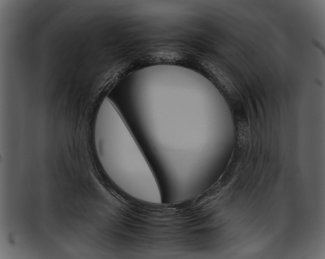 X0000097600451200802290736