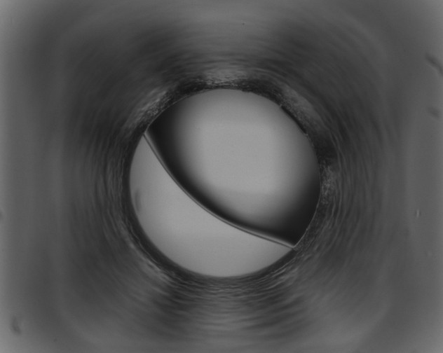 X0000097600452200802290736