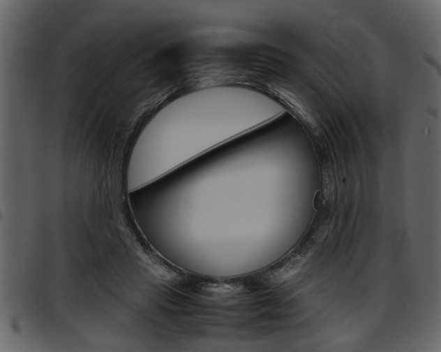 X0000097600453200802290736