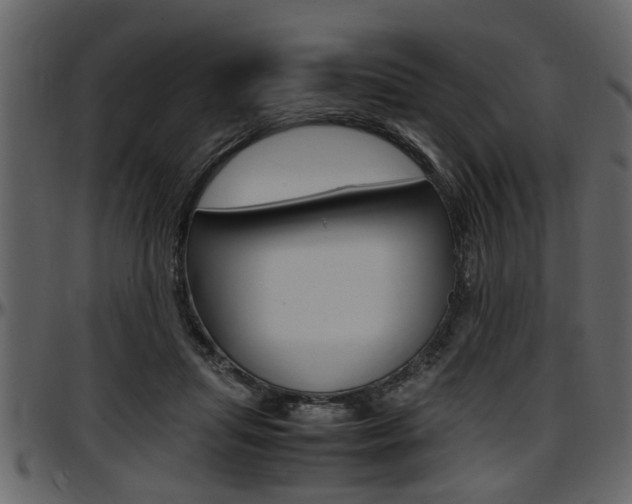 X0000097600455200802290736
