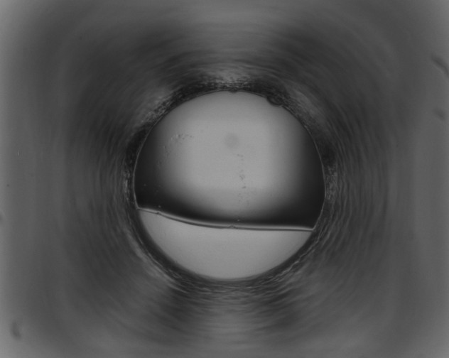 X0000097600456200802290736
