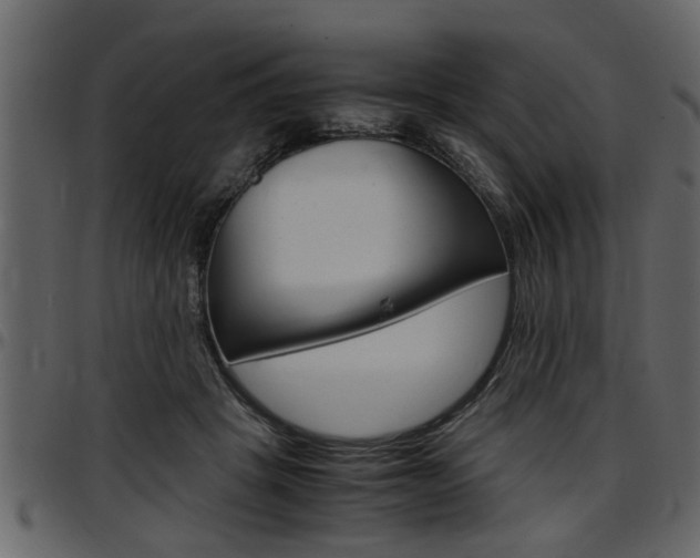 X0000097600457200802290736