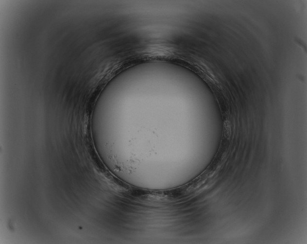 X0000097600458200802290736